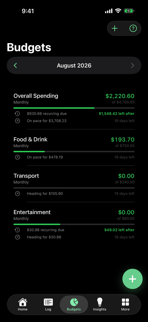The Budgets tab: overall spending against its limit, then a bar per category with what is left in each.